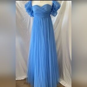 Elegant Blue Tulle Gown